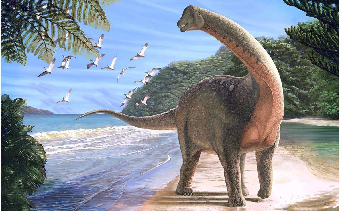 Mansourasaurus shahinae