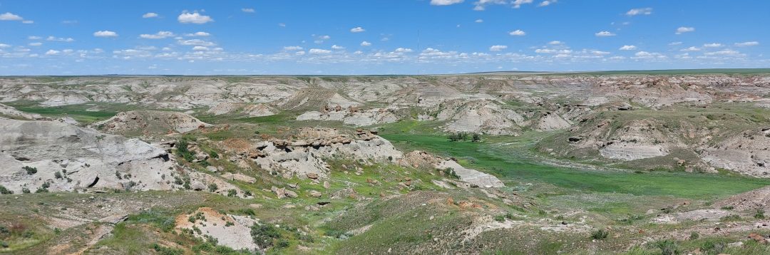 Fieldwork Adventures