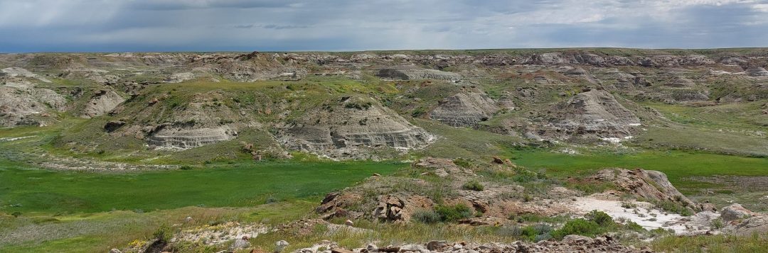 Unveiling Prehistoric Treasures in The Judith River Formation in Montana