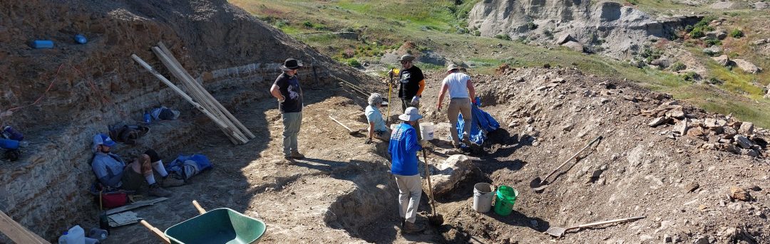 Ambassador Blog: Faunal Diversity Judith River Formation & The Jurassic Coast