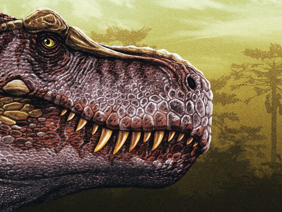 Expert Palaeontology Consulting