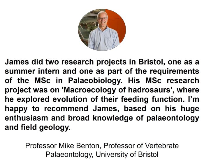 Professor Mike Benton, Professor of Vertebrate Palaeontology, University of Bristol