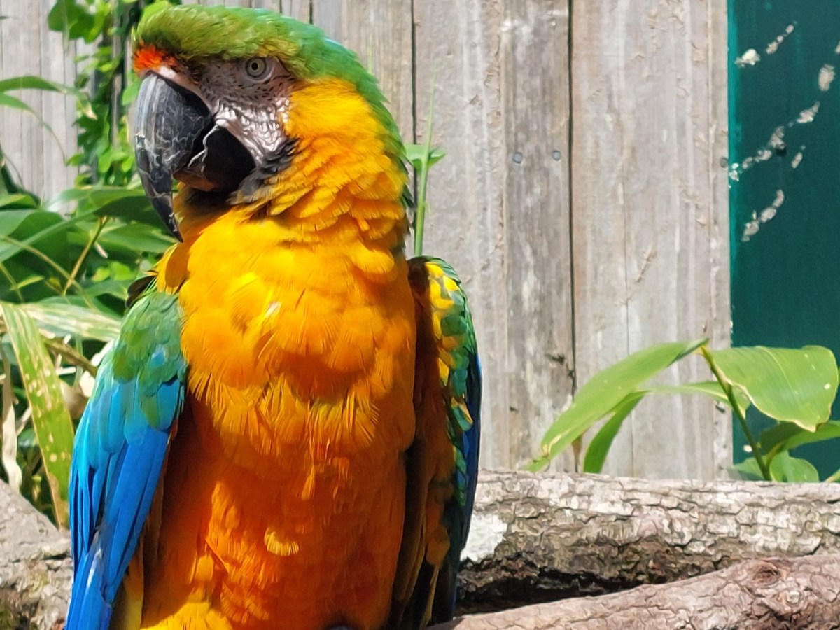 My Science SoundBites