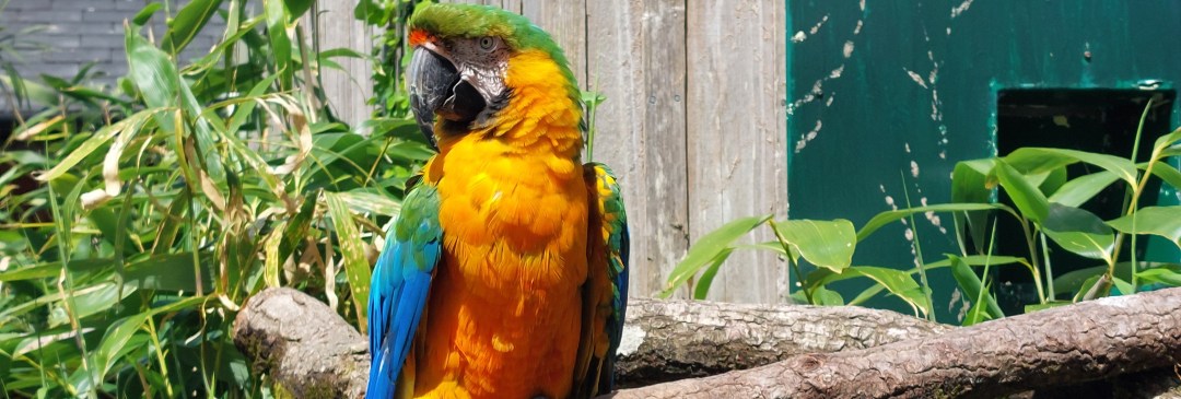 My Science SoundBites