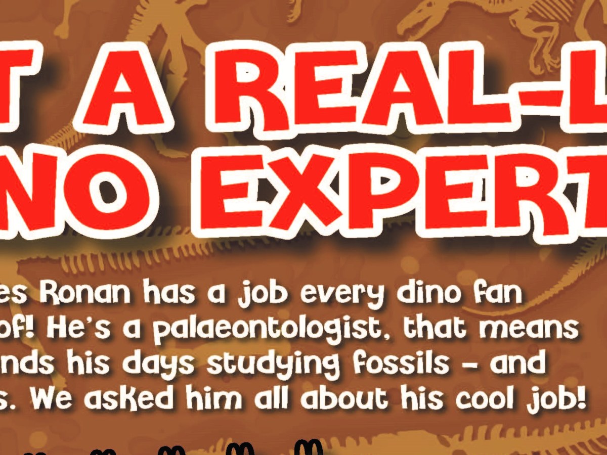 Dinosaur Action Magazine Interview