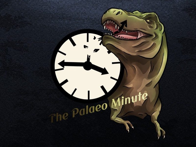 Behind-the-Scenes of The Palaeo Minute: Bonus Edition