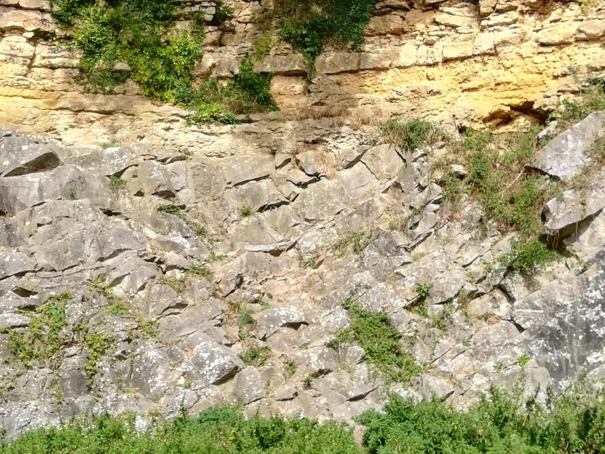 At the Feet of the Dinosaurs Unearthing Ancient Secrets