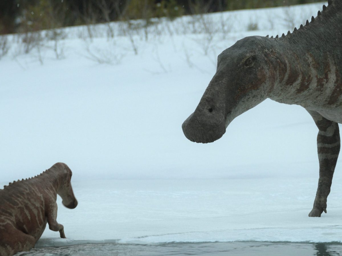 Exploring Hadrosaur Social Behaviour and Communication